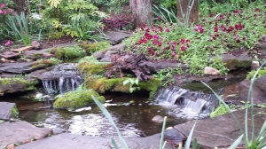 Water Features, Streams, Ponds
